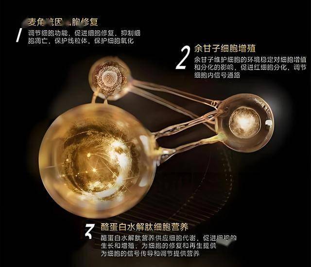 xm外汇官网开户量子计算机能秒解口令吗